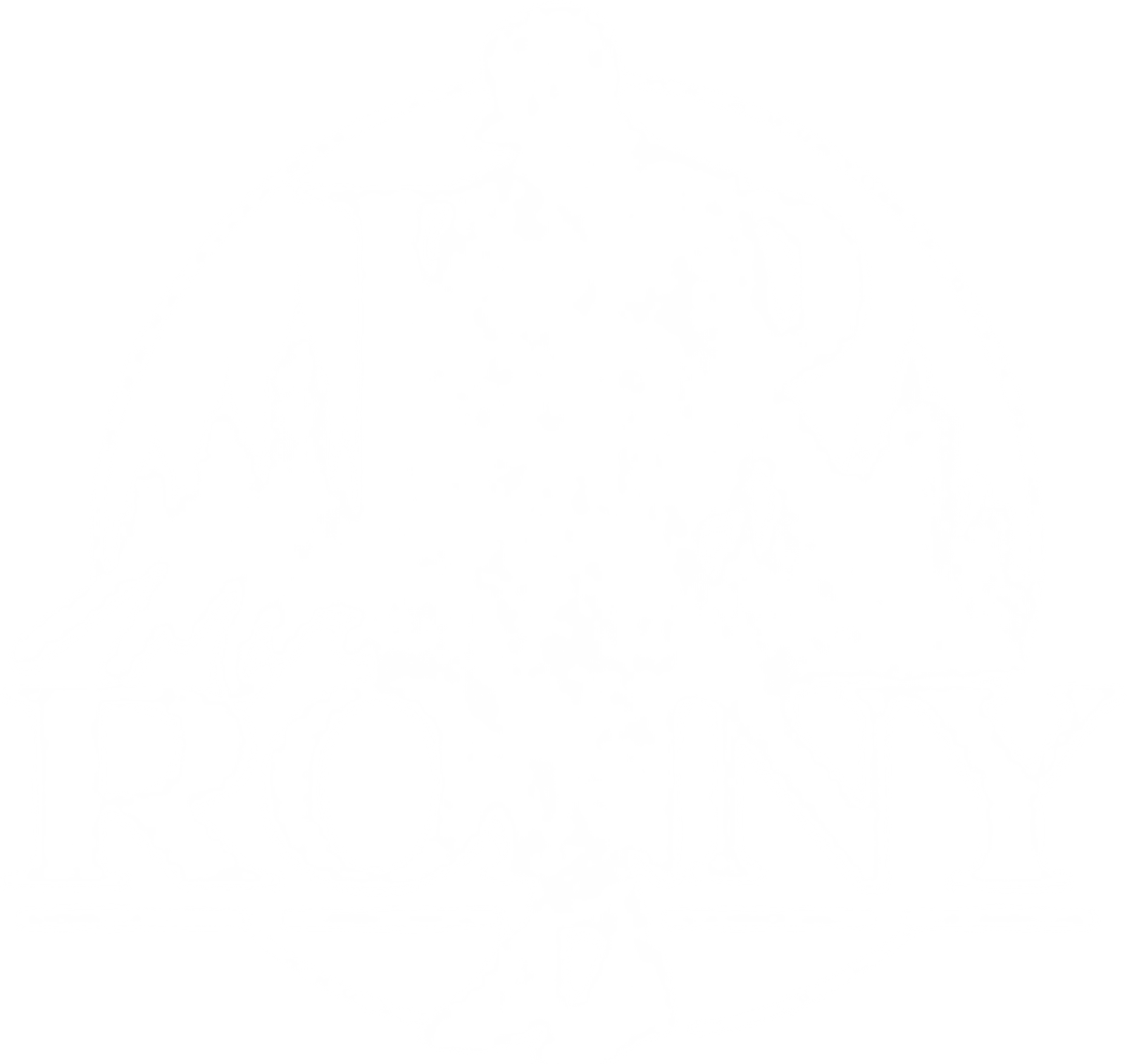 MrRonny